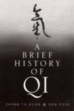 A Brief History of Qi eBook